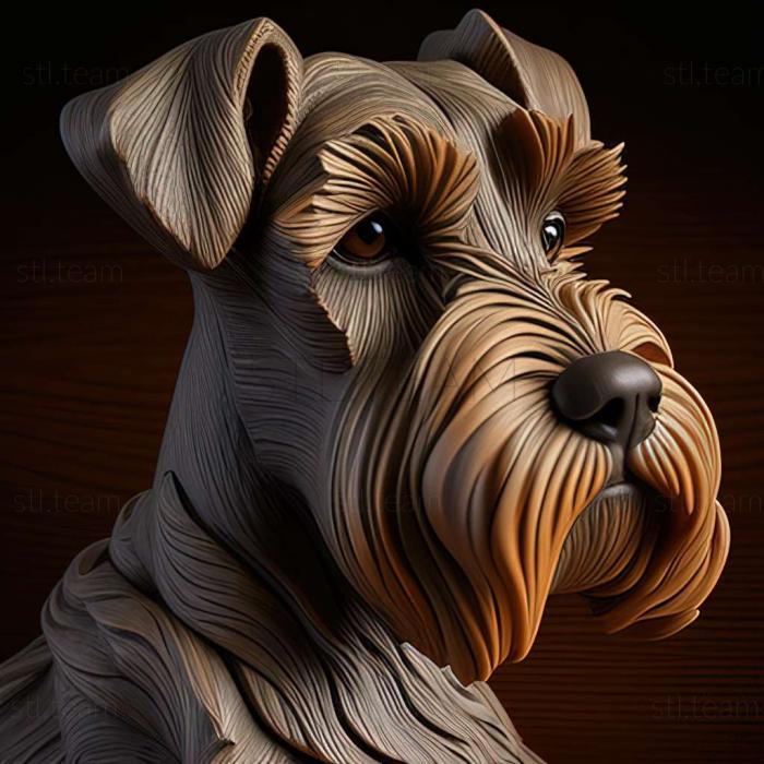 Zwergschnauzer dog